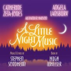 Book cover for "A little night music".