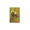 Book cover for "In The Poppy Fields: Bond, No. 3".