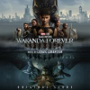 Book cover for "Black Panther: Wakanda Forever".