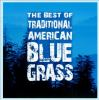 Book cover for "The best of traditional American bluegrass".
