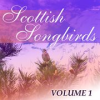 Book cover for "Scottish Songbirds, Vol. 1".