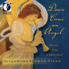 Book cover for "Down Came An Angel".