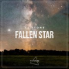 Book cover for "Fallen Star".