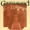 Book cover for "Contraband".