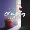 Book cover for "Christmas Is Coming!".