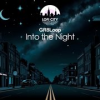 Book cover for "Into The Night".