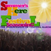 Book cover for "Summer Is Here! Festival Seasoning".