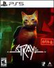 Book cover for "Stray".