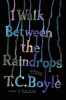 Book cover for "I Walk Between the Raindrops".