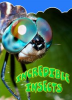 Book cover for "Incredible Insects".