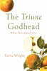 Book cover for "The Triune Godhead".