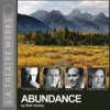 Book cover for "Abundance".