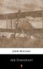 Book cover for "Mr. Standfast".