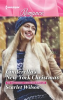Book cover for "Cinderella's New York Christmas".