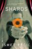 Book cover for "(--shards--)".