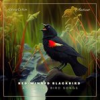 Book cover for "Red-winged Blackbird and Other Bird Songs".