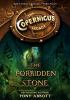 Book cover for "The forbidden stone".