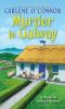 Book cover for "Murder in Galway".