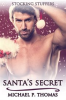 Book cover for "Santa's Secret".