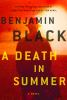 Book cover for "A death in summer".