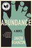 Book cover for "Abundance".