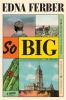 Book cover for "So big".