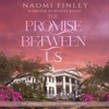 Book cover for "The Promise Between Us".