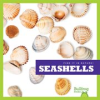 Book cover for "Seashells".