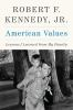 Book cover for "American values".