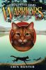 Book cover for "The forgotten warrior".