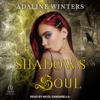 Book cover for "Shadows of the Soul".