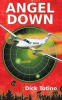 Book cover for "Angel Down".
