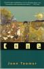 Book cover for "Cane".
