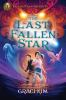 Book cover for "The last fallen star".