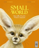 Book cover for "Small World".