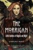 Book cover for "The Morrigan".