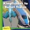 Book cover for "Kingfishers to Bullet Trains".