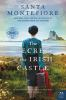 Book cover for "The secret of the Irish castle".