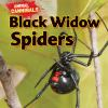 Book cover for "Black widow spiders".