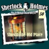 Book cover for "Shoscombe Old Place".