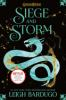 Book cover for "Siege and storm".