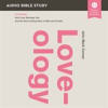 Book cover for "Loveology".