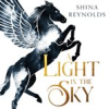 Book cover for "A Light in the Sky".