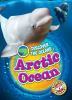 Book cover for "Arctic Ocean".