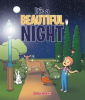 Book cover for "It's a Beautiful Night".