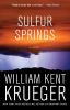 Book cover for "Sulfur Springs".