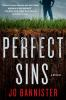 Book cover for "Perfect sins".