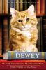 Book cover for "Dewey".