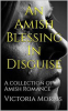 Book cover for "An Amish Blessing in Disguise".
