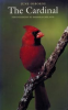 Book cover for "The Cardinal".
